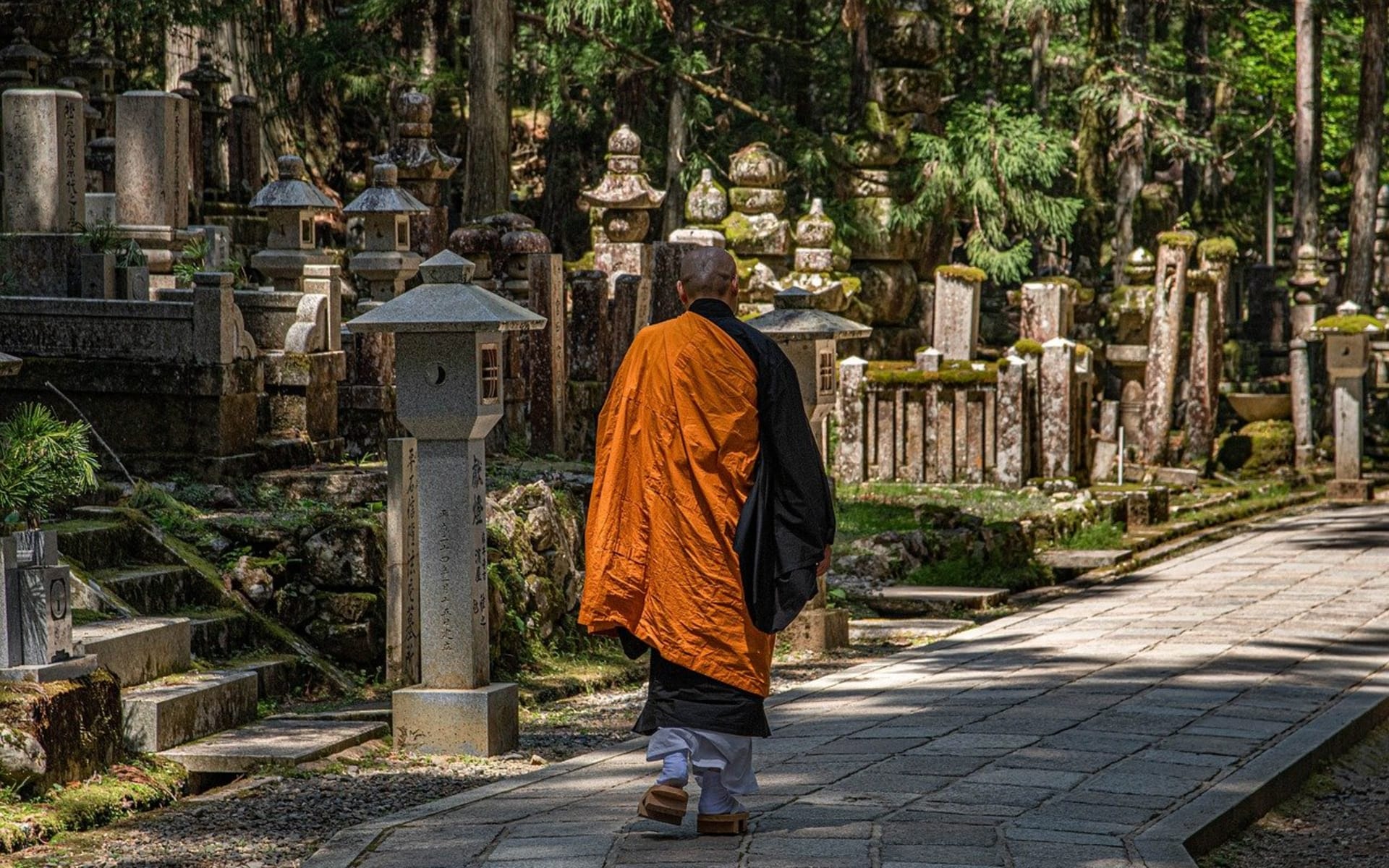 Food & Art: A Cultural Tour of Japan | Wayfairer Travel